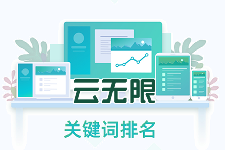 优化排名软件网站